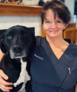 Nicole, our practice manager and lead RVT preparing a goldendoodle for surgery, with inset picture of Nicole and her rescue dog, pitbull mix Martha