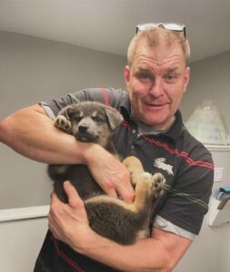 Dr Peter Parke holding a very fluffy German Shepherd/ Husky puppy.