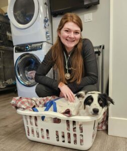 Rachel, our REgistered Veterinary Technician, with a border collie lying all snuggled up in a laundry basket at her feet.