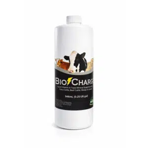 Biocharge Vitamin supplement 946ml